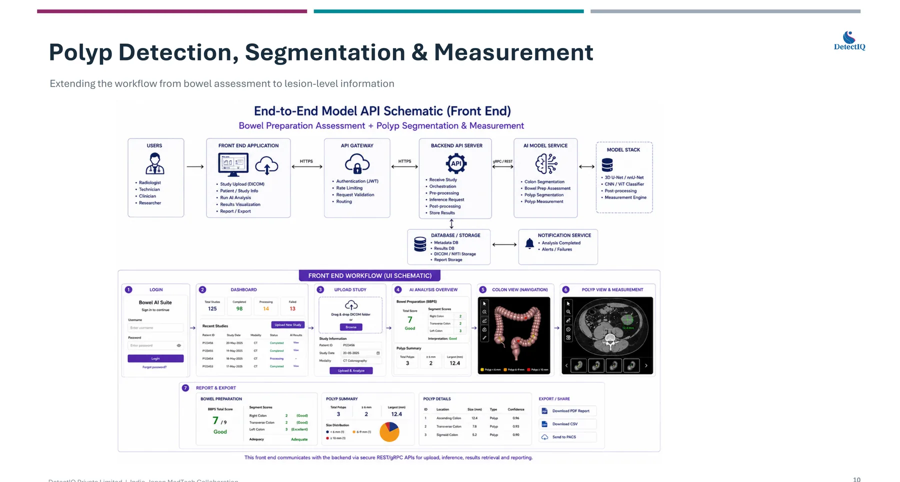 Clinical dashboard: colon navigation view and polyp measurement view